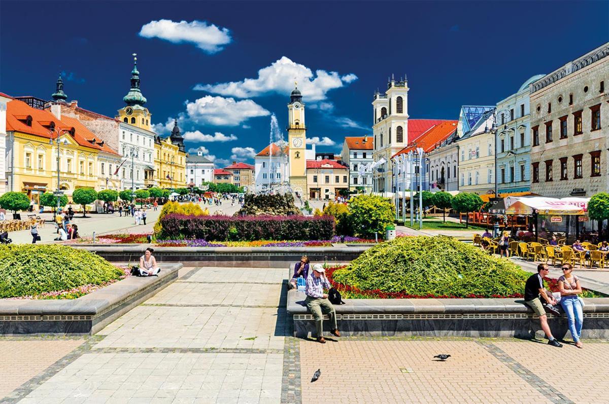 Apartman Terminal, Self Check-In 24 H, Free Parking Банська Бистриця Екстер'єр фото